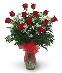 Classic Red Roses