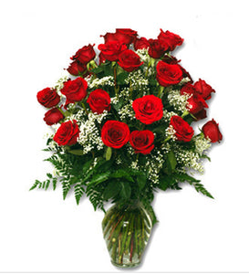 Classic Red Roses