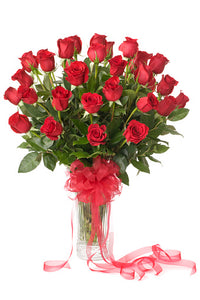 Classic Red Roses